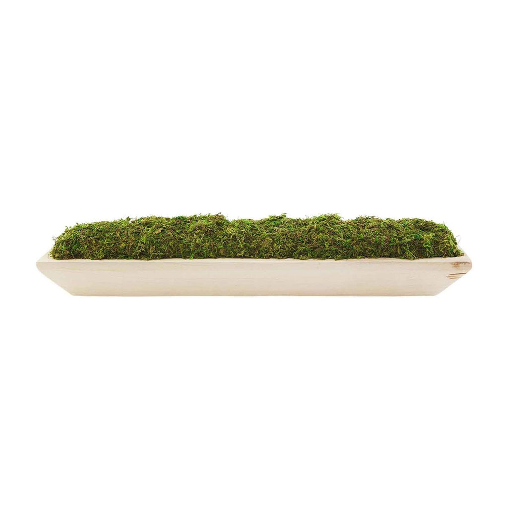 Mudpie Preserved Moss Tray