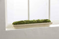Mudpie Preserved Moss Tray