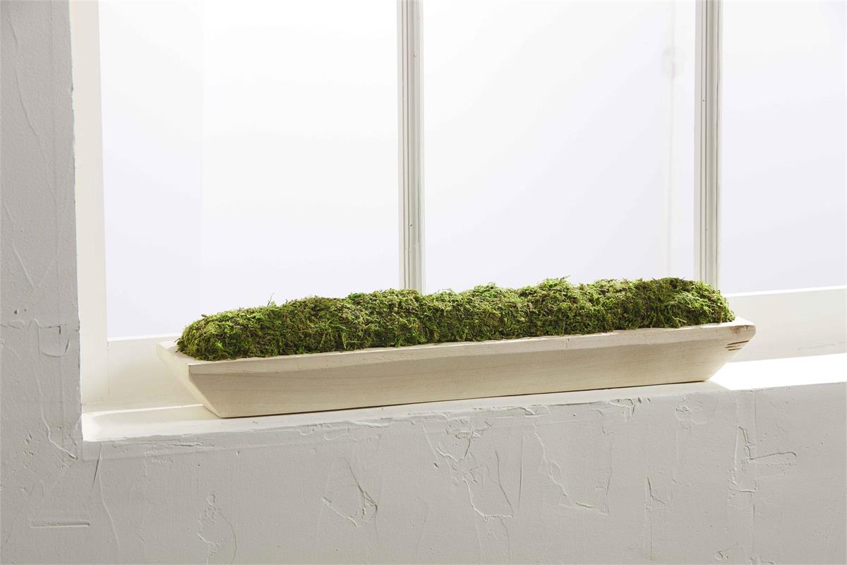 Mudpie Preserved Moss Tray