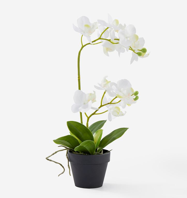 giftcraft orchid