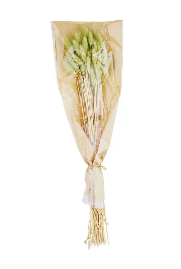 Mudpie Dried Preserved Bunny Tail Grass