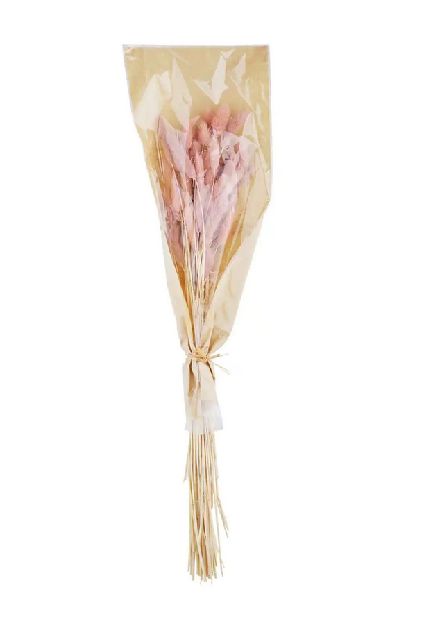 Mudpie Dried Preserved Bunny Tail Grass